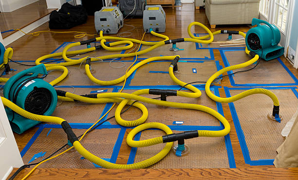 Professional Water Extraction technician working in Bayview, ID